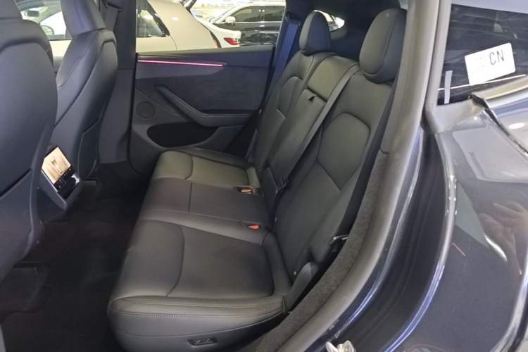 Used Tesla Model Y 2026 Long-Range All-Wheel-Drive Model Left Rear Seat