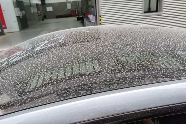 Used Tesla Model Y 2026 Rear-Drive Model Roof