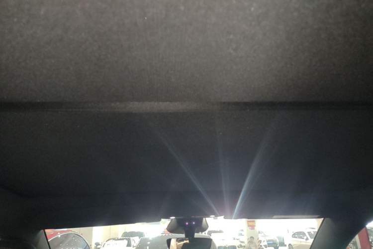 Used Tesla Model Y 2026 Rear-Drive Model Headliner