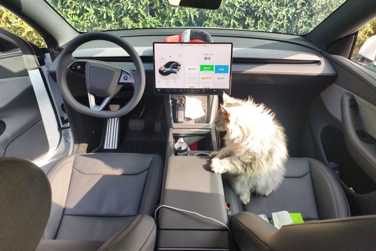Used Tesla Model Y 2026 Model Long-Range Rear-Wheel-Drive Version Center Console