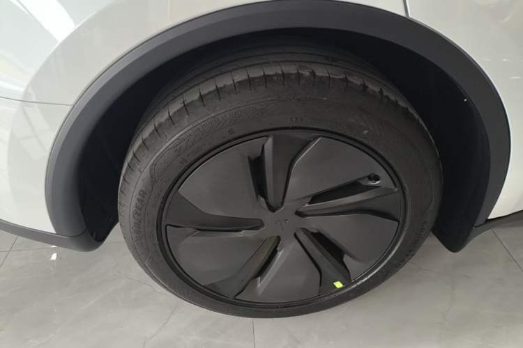 Used Tesla Model Y 2026 Rear-Drive Model Exterior 5