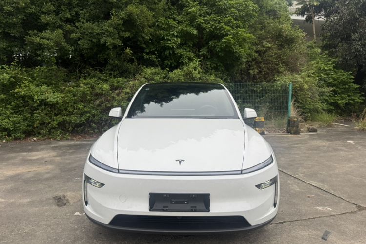 Used Tesla Model Y 2026 Model Long-Range Rear-Wheel-Drive Version Exterior 6