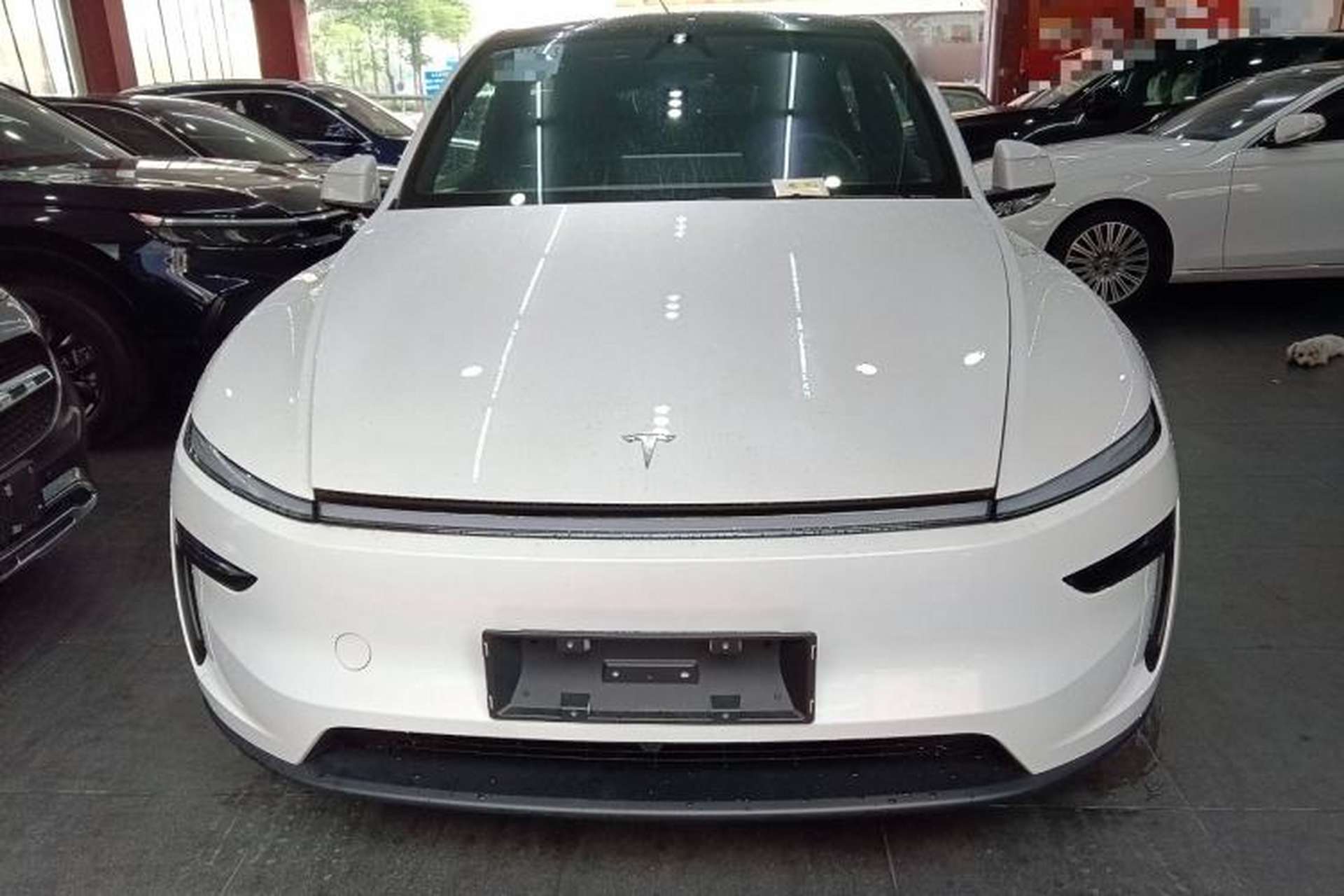 Used Tesla Model Y 2026 Long-Range All-Wheel-Drive Model Front