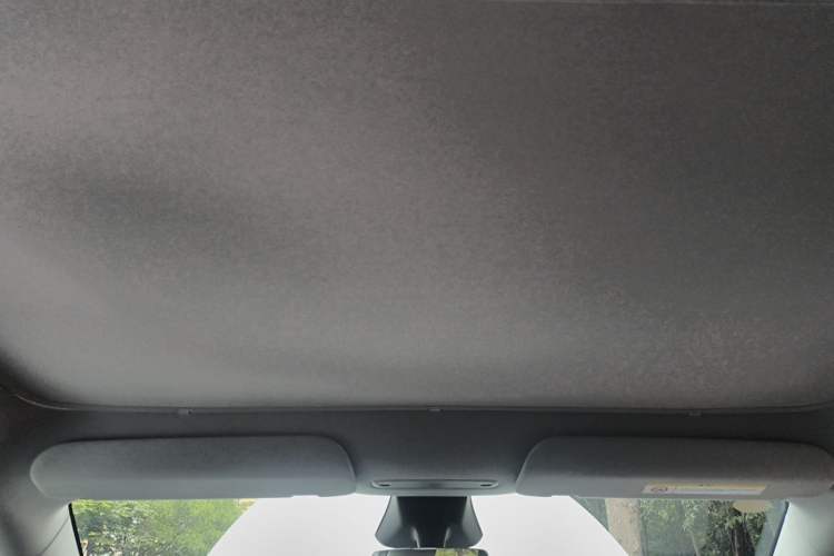 Used Tesla Model Y 2026 Model Long-Range Rear-Wheel-Drive Version Headliner