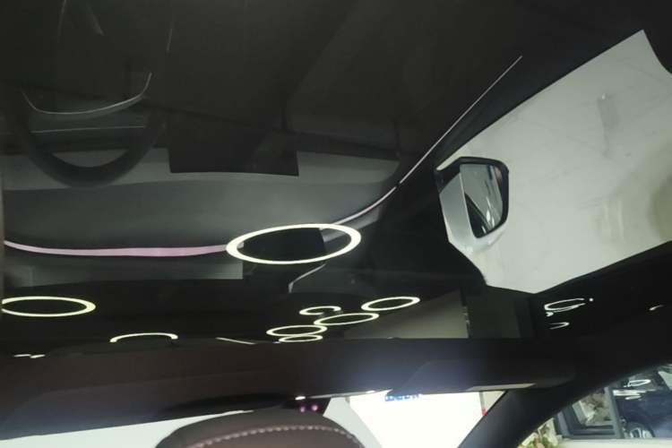 Used Tesla Model Y 2026 Rear-Drive Model Headliner