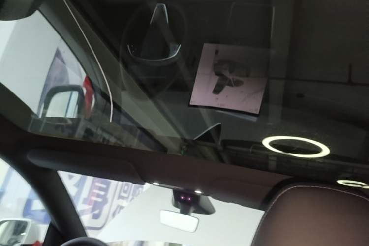 Used Tesla Model Y 2026 Rear-Drive Model Headliner