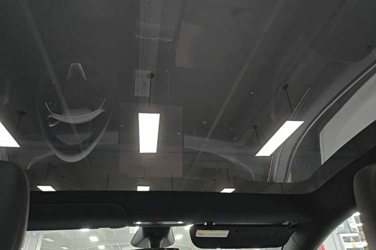 Used Tesla Model Y 2026 Rear-Drive Model Headliner