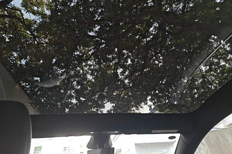 Used Tesla Model Y 2026 Rear-Drive Model Headliner