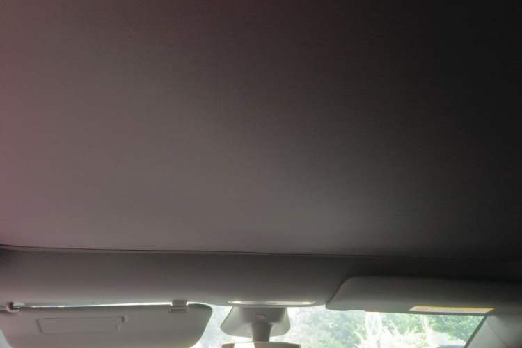 Used Tesla Model Y 2026 Rear-Drive Model Headliner