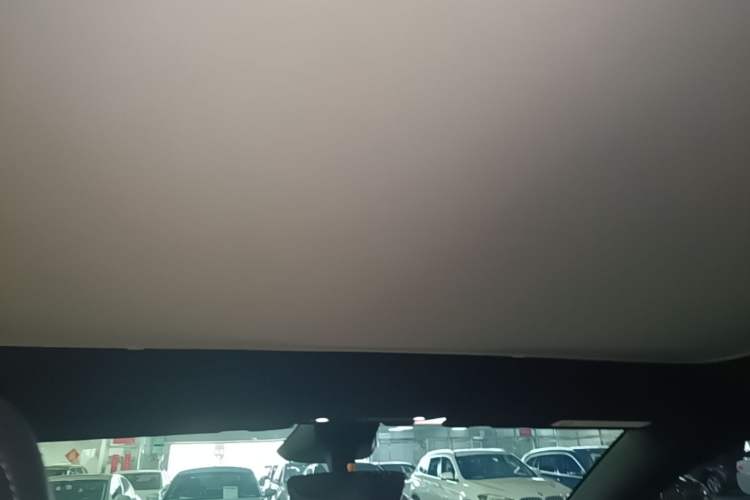 Used Tesla Model Y 2026 Model Long-Range Rear-Wheel-Drive Version Headliner