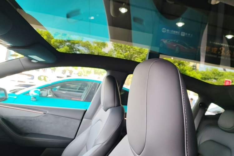 Used Tesla Model Y 2026 Long-Range All-Wheel-Drive Model Headliner