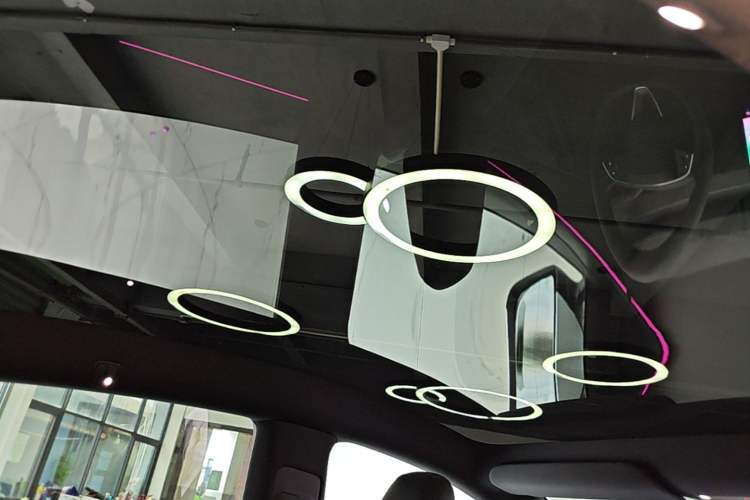 Used Tesla Model Y 2026 Rear-Drive Model Headliner