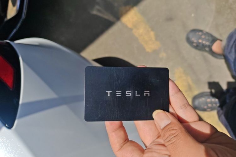 Used Tesla Model Y 2026 Rear-Drive Model Interior 1