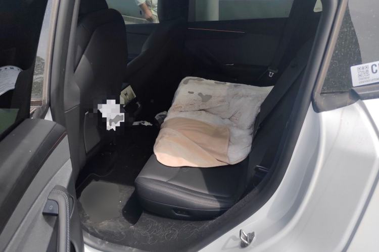 Used Tesla Model Y 2026 Rear-Drive Model Left Rear Seat