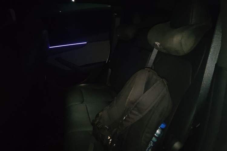 Used Tesla Model Y 2026 Rear-Drive Model Left Rear Seat