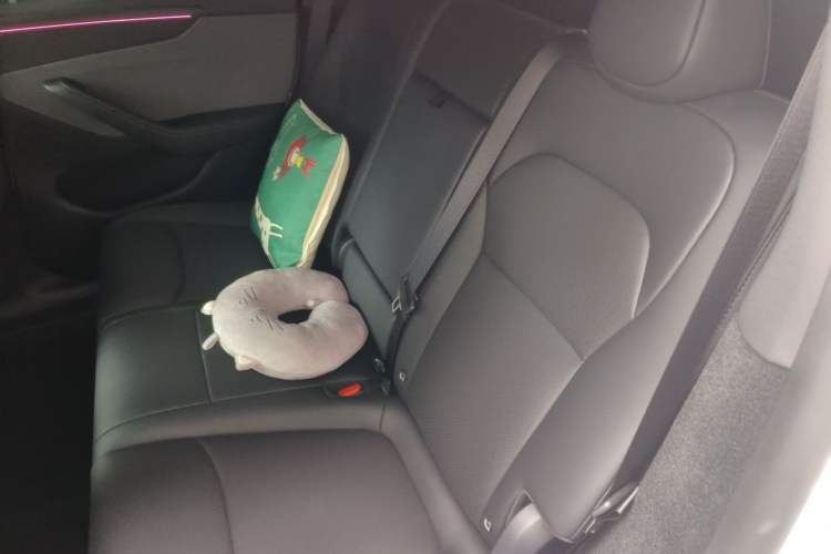 Used Tesla Model Y 2026 Rear-Drive Model Left Rear Seat