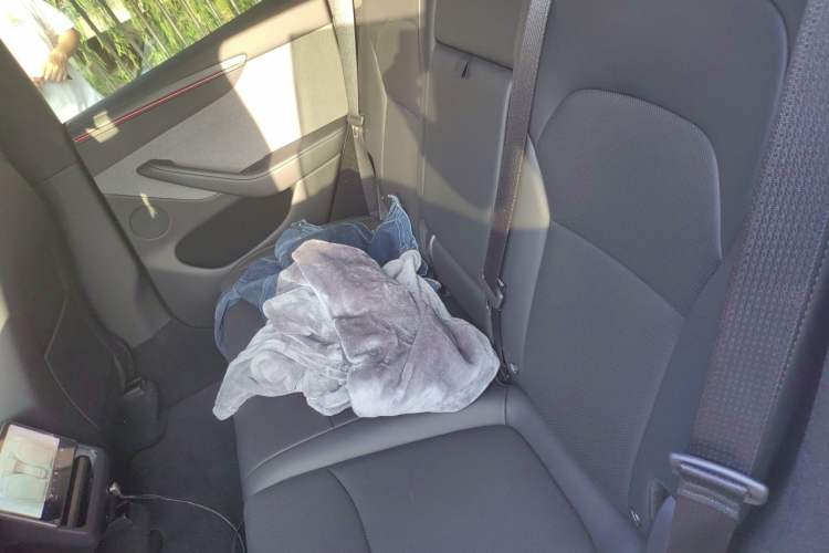 Used Tesla Model Y 2026 Rear-Drive Model Left Rear Seat