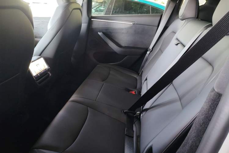 Used Tesla Model Y 2026 Long-Range All-Wheel-Drive Model Left Rear Seat