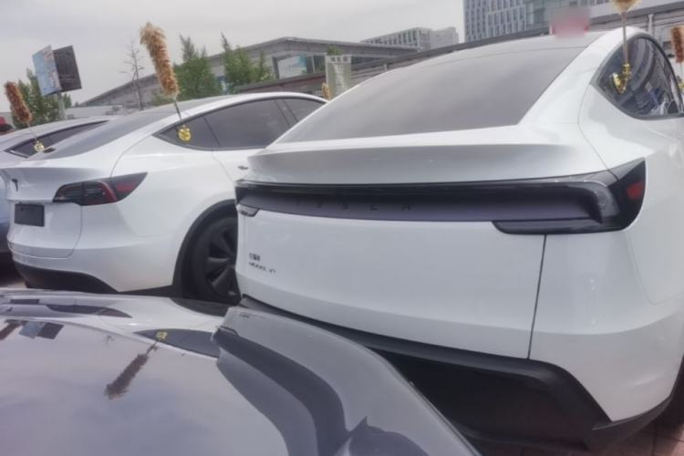 Used Tesla Model Y 2026 Model Long-Range Rear-Wheel-Drive Version Rear
