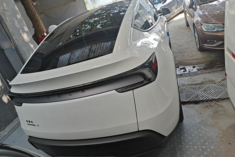 Used Tesla Model Y 2026 Rear-Drive Model Rear
