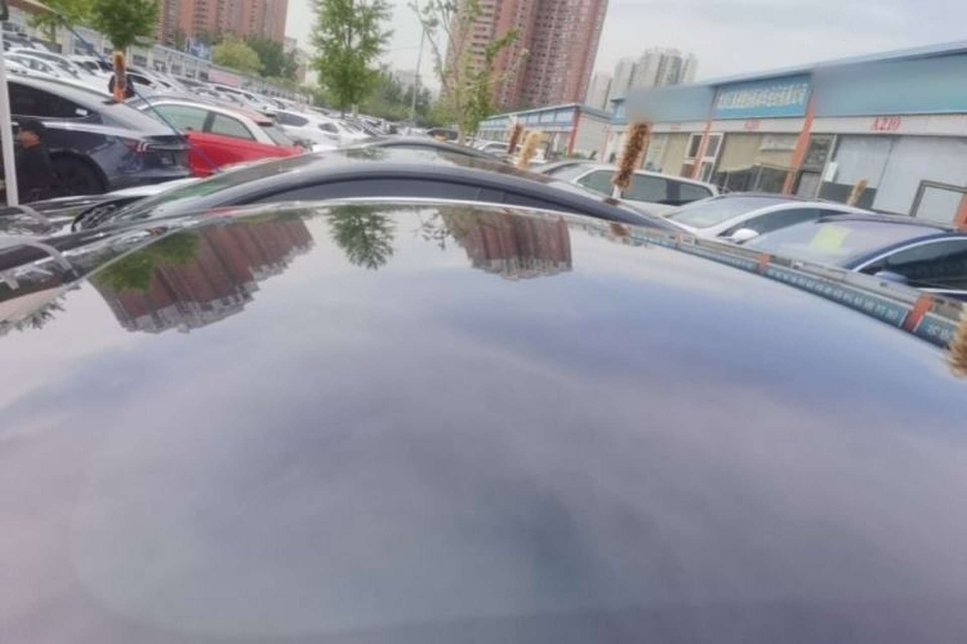 Used Tesla Model Y 2026 Model Long-Range Rear-Wheel-Drive Version Roof