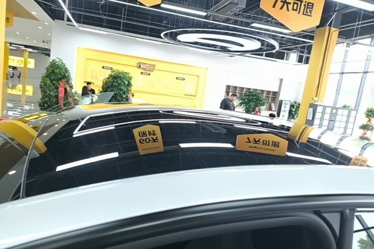Used Tesla Model Y 2026 Rear-Drive Model Roof