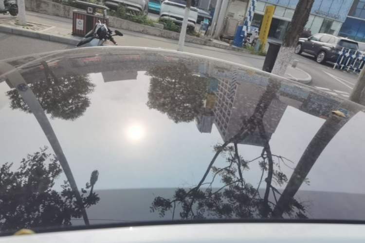 Used Tesla Model Y 2026 Rear-Drive Model Roof