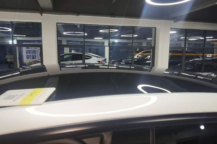 Used Tesla Model Y 2026 Rear-Drive Model Roof