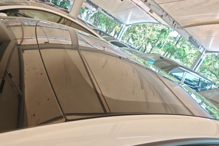 Used Tesla Model Y 2026 Rear-Drive Model Roof