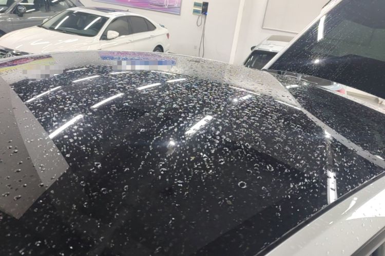 Used Tesla Model Y 2026 Rear-Drive Model Roof