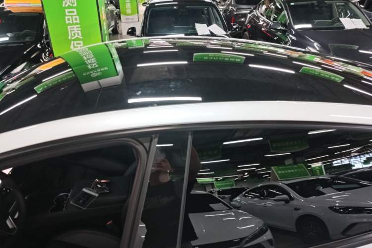 Used Tesla Model Y 2026 Model Long-Range Rear-Wheel-Drive Version Roof