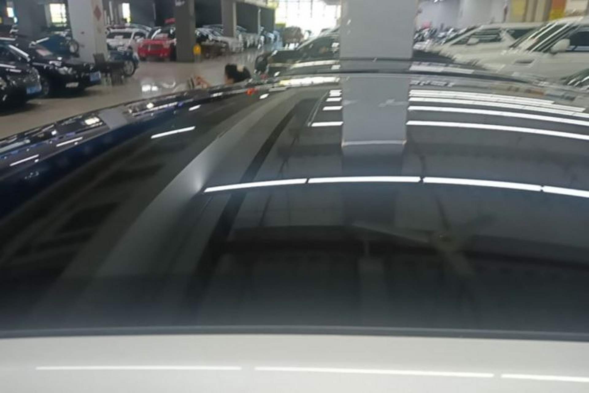 Used Tesla Model Y 2026 Long-Range All-Wheel-Drive Model Roof