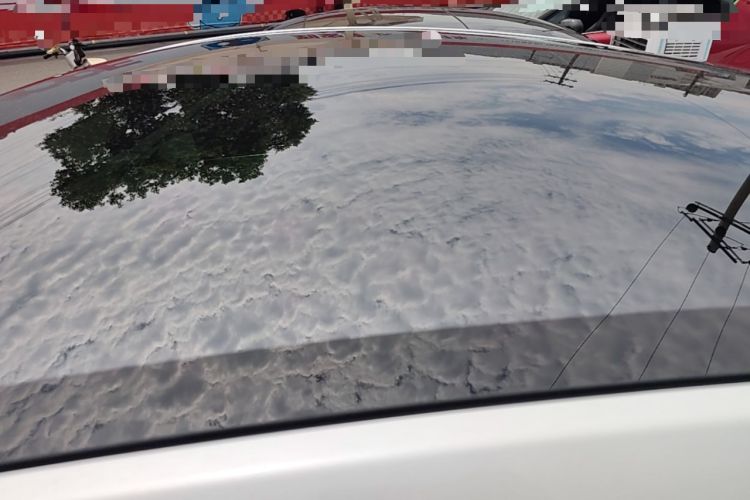 Used Tesla Model Y 2026 Rear-Drive Model Roof
