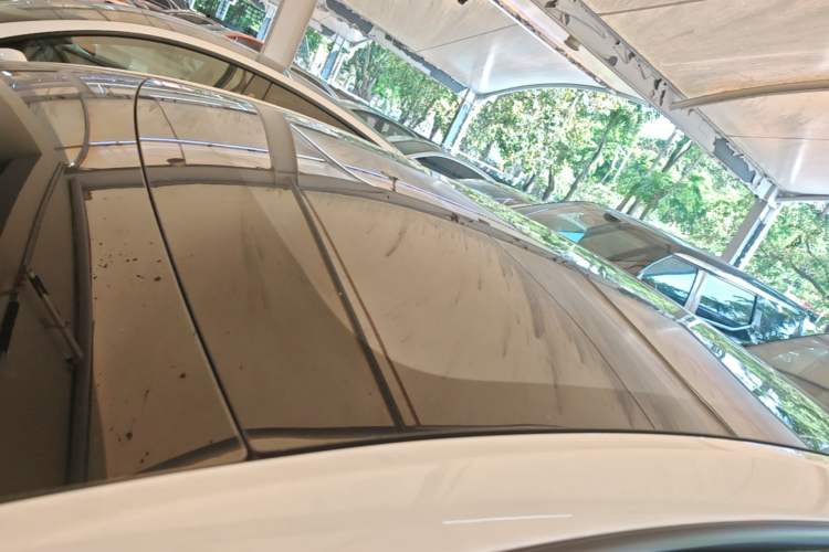 Used Tesla Model Y 2026 Rear-Drive Model Roof