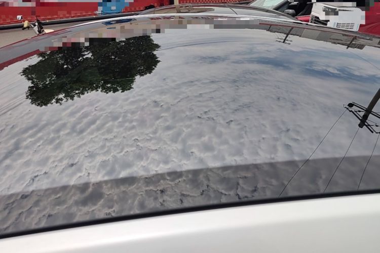 Used Tesla Model Y 2026 Rear-Drive Model Roof