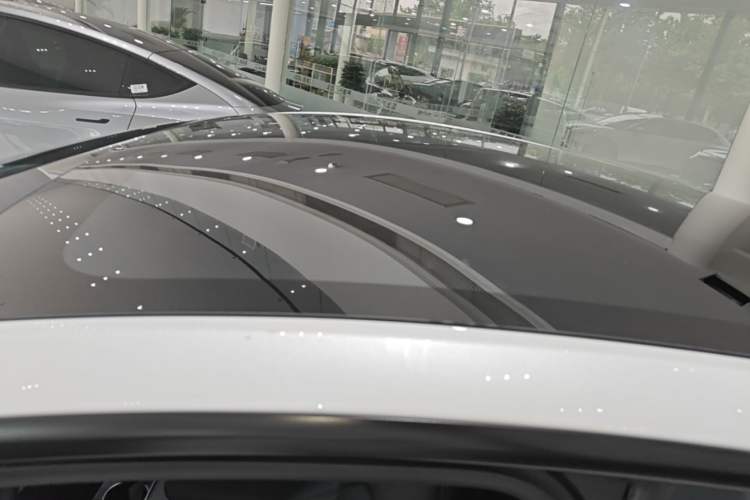 Used Tesla Model Y 2026 Rear-Drive Model Roof