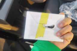 Thumbnail 12