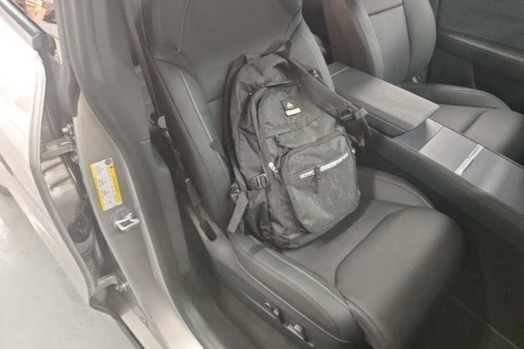 Used Tesla Model Y L 2025 Model Long-Range All-Wheel-Drive Version Right Front Seat
