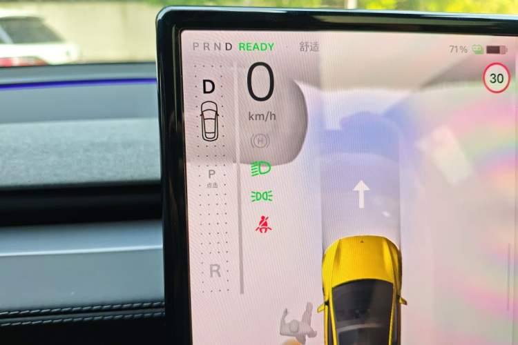 Used Tesla Model Y L 2025 Model Long-Range All-Wheel-Drive Version Gear Lever