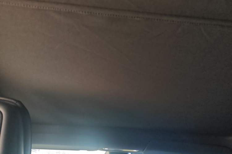 Used Tesla Model Y L 2025 Model Long-Range All-Wheel-Drive Version Headliner