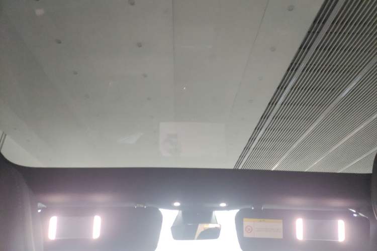 Used Tesla Model Y L 2025 Model Long-Range All-Wheel-Drive Version Headliner
