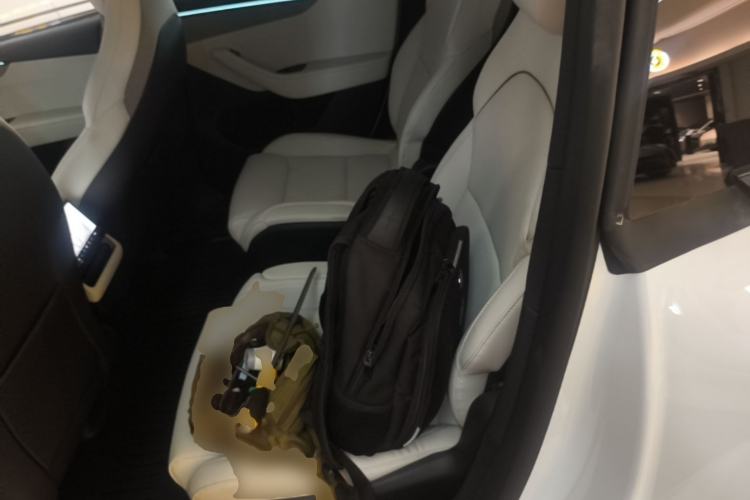 Used Tesla Model Y L 2025 Model Long-Range All-Wheel-Drive Version Left Rear Seat