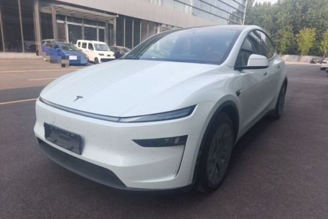Tesla Model Y L 2025 Model Long-Range All-Wheel-Drive Version usata
