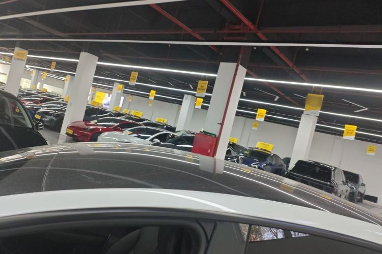 Used Tesla Model Y L 2025 Model Long-Range All-Wheel-Drive Version Roof