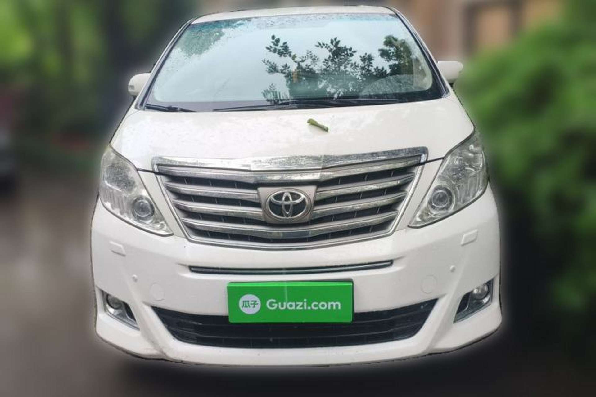 Used Toyota Alphard 2011 3.5L Luxury Edition Front
