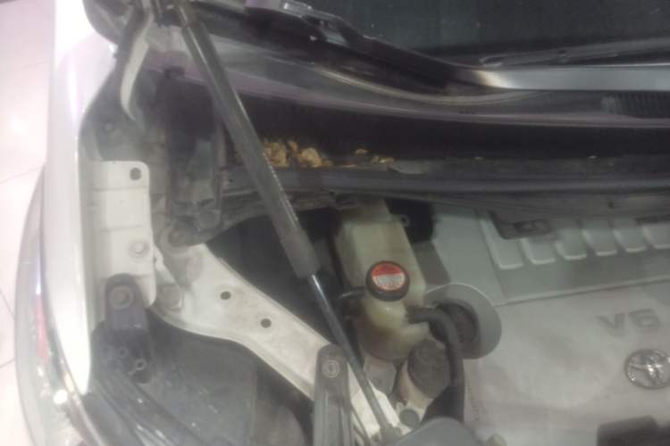 Used Toyota Alphard 2012 3.5L Luxury Edition Engine Bay Right
