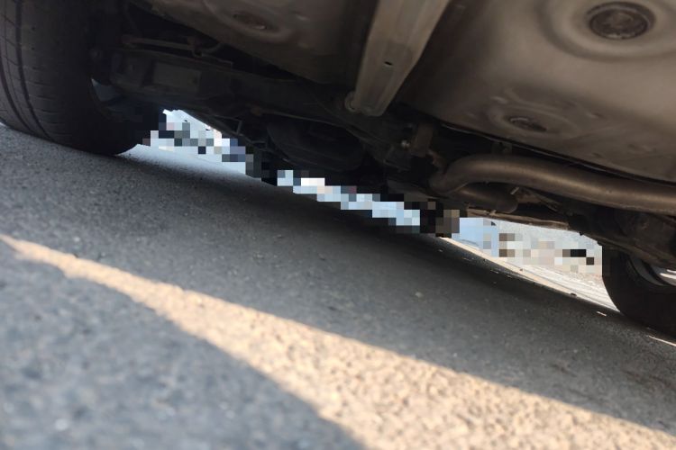 Used Toyota Alphard 2019 Dual-Engine 2.5L Prestige Edition Chassis Rear