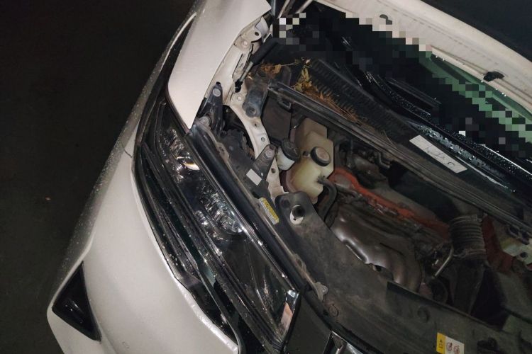 Used Toyota Alphard 2019 Dual-Engine 2.5L Prestige Edition Engine Bay Right