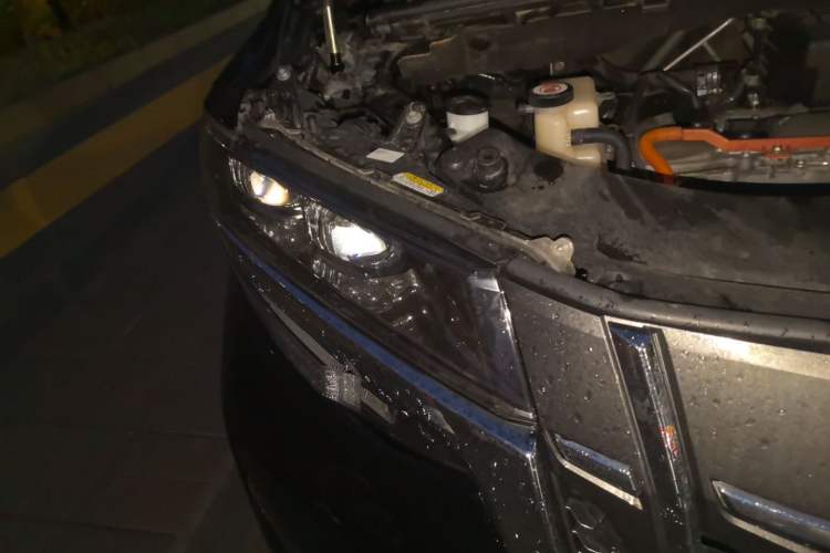 Used Toyota Alphard  Right Front Headlight