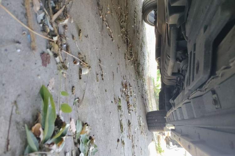 Used Toyota Alphard 2020 Dual-Engine 2.5L Prestige Edition Chassis Rear Left